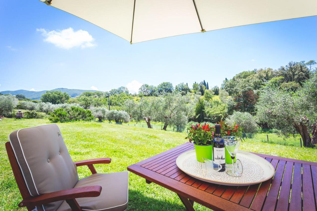 Gatto Rosso Bed and Breakfast Bolgheri Esterno foto